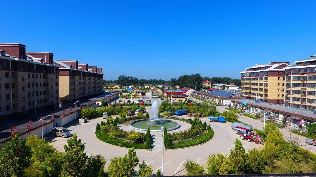 农业有干头农村有看头农民有盼头阜城县实施乡村振兴战略见闻