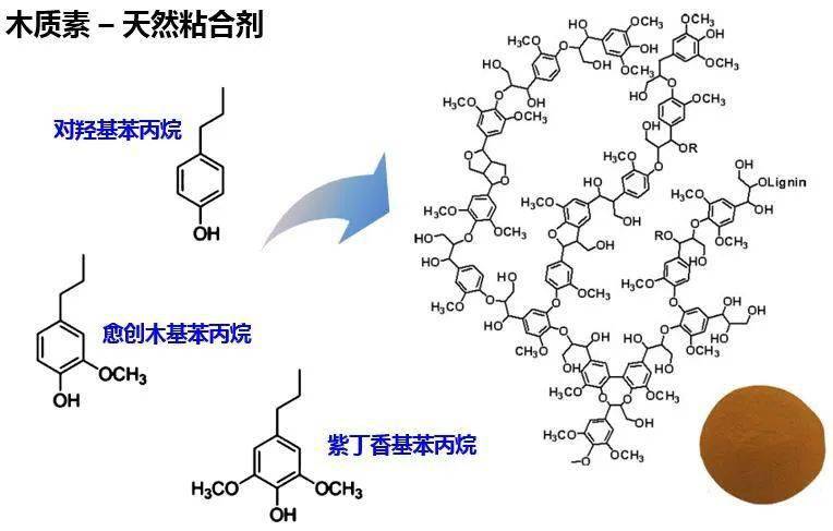 国内外的研究主要是将工业木质素以填料的形式加入到橡胶材料中,但