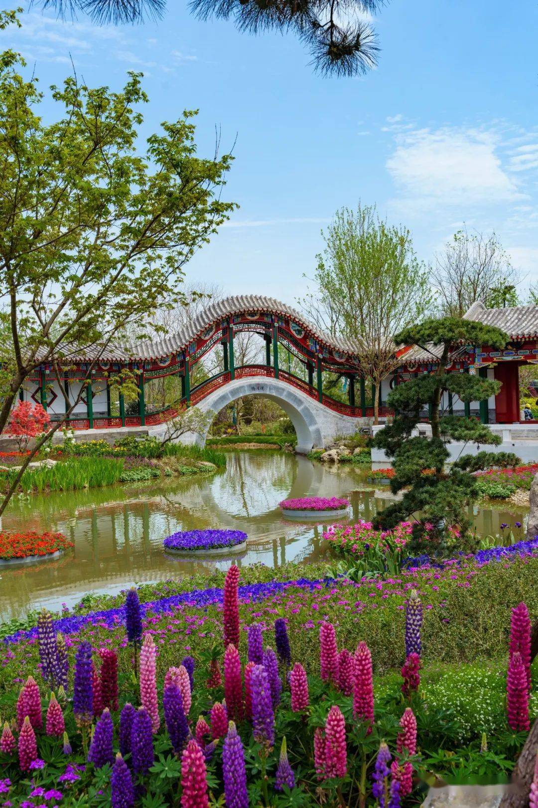 城建集团丨流连燕京景一水共月明城建的北京园现身扬州世园会