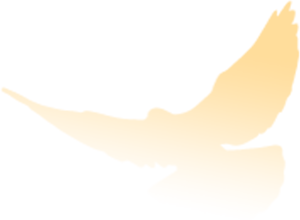 党史百年 每日一学 二十三 毛泽东