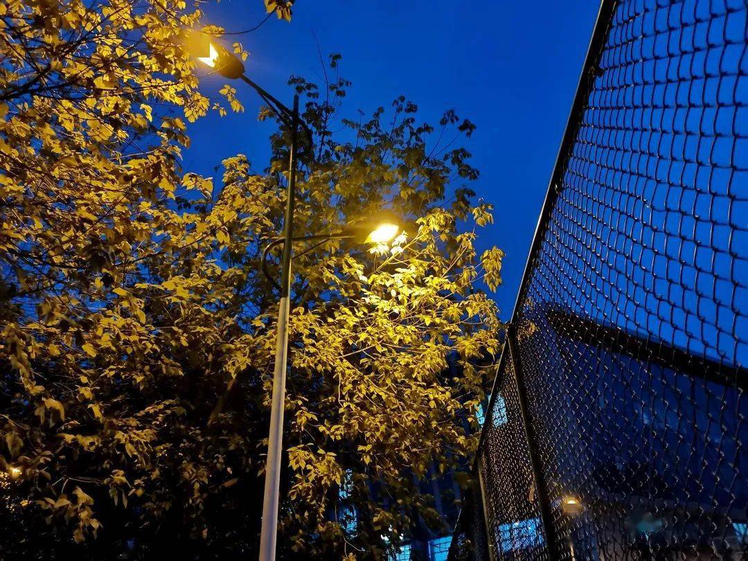 平顶山学院第二届大学生网络文化节之光影视界摄影比赛优秀成果展示