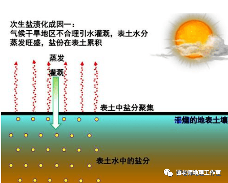 【专题归纳】关于盐碱化你应该知道的地理知识!