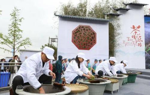 以茶会友助力产业发展，第九届茶旅节下周一开幕