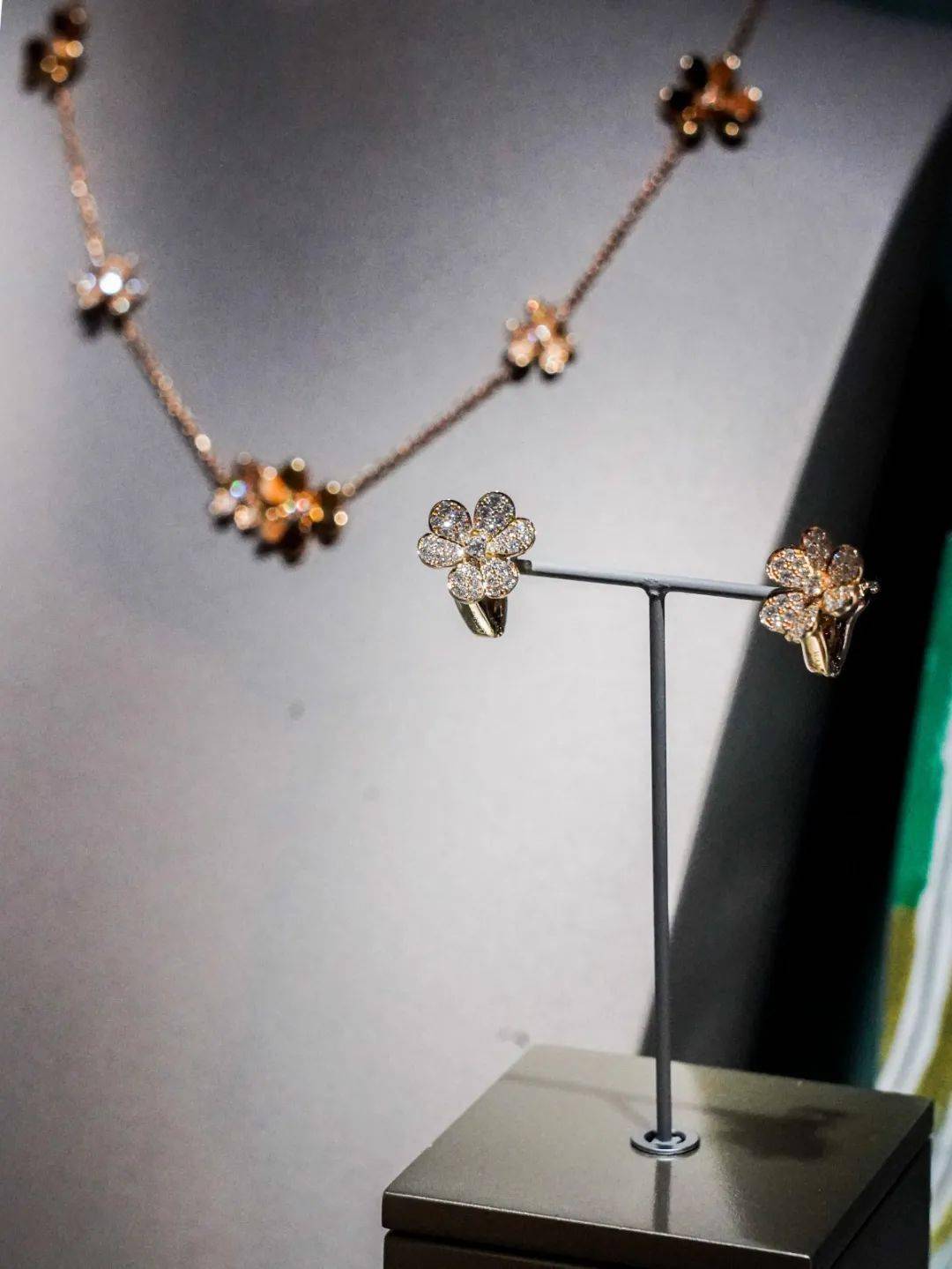 ����ű�����֮��԰���ս�����Frivoleϵ�������ݻ�������