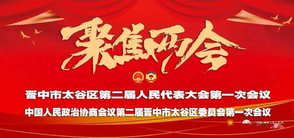 李轩参加区二届人大一次会议胡村镇代表团审议