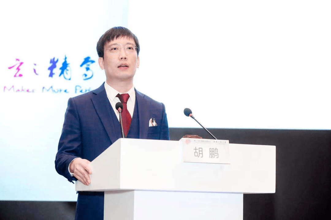 胡鹏教授首都医科大学宣武医院全脑血管造影的大脑中动脉影像解剖解读