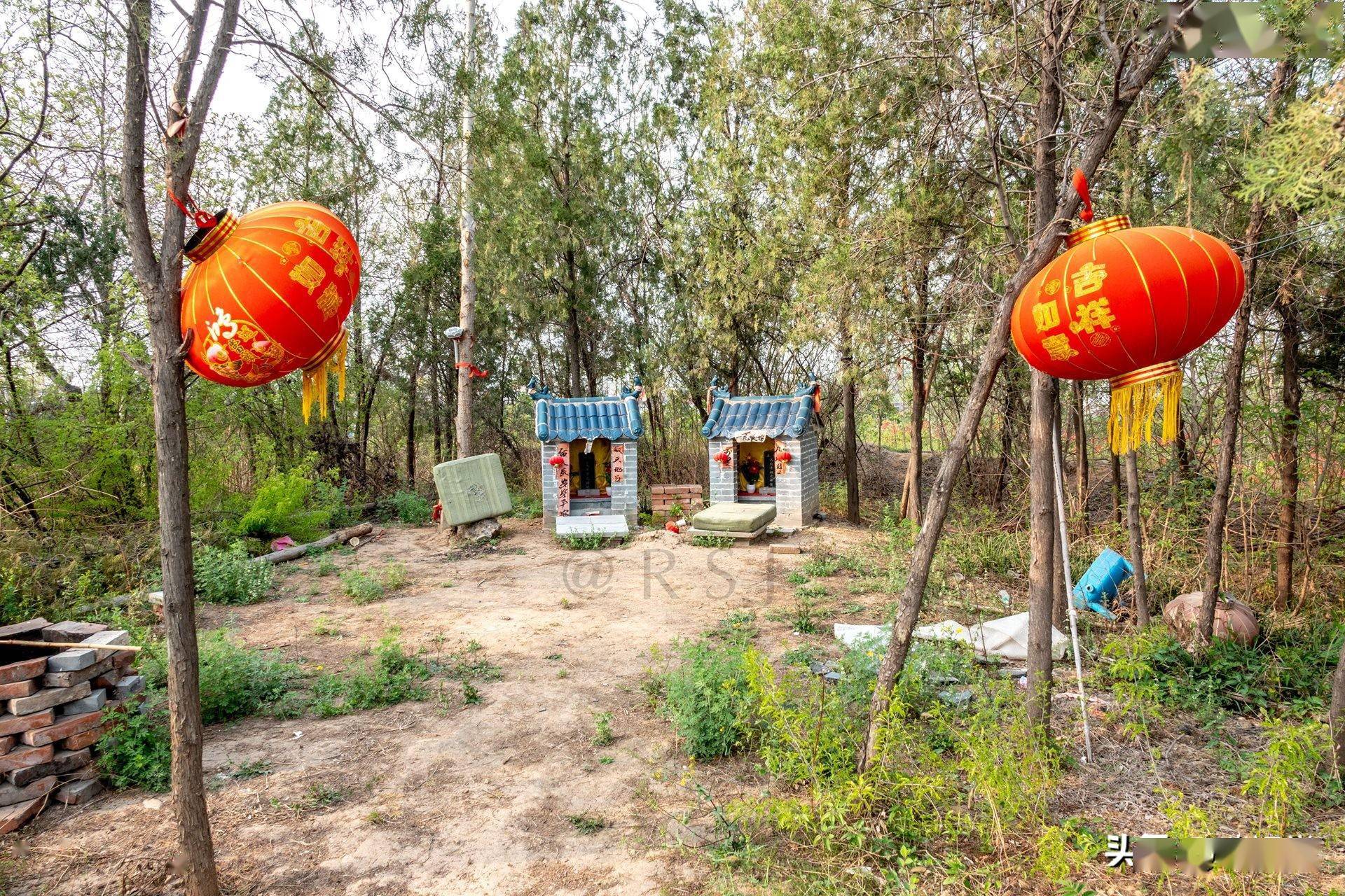 上面长满了树木及荆棘杂草,两个小庙内供奉的分别是鸿钧老祖和金马