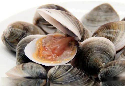 梁实秋告诉你,能让人连吃一百二十个的【炝青蛤】怎么做才对