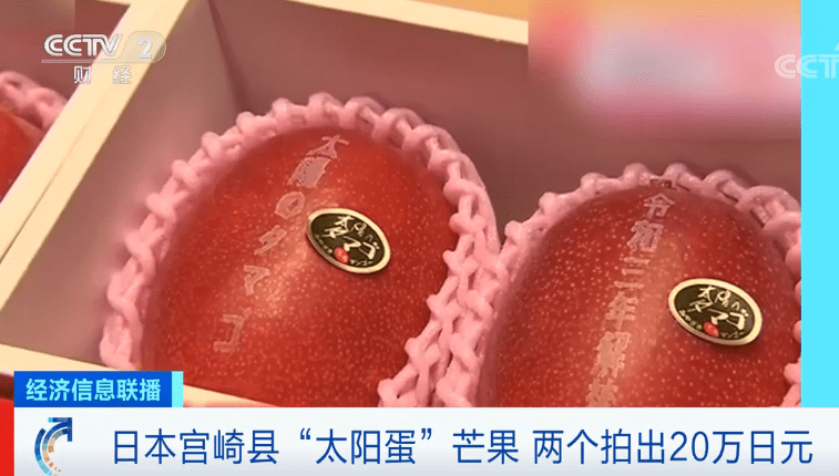 真的太阳蛋日本两颗芒果卖出12万