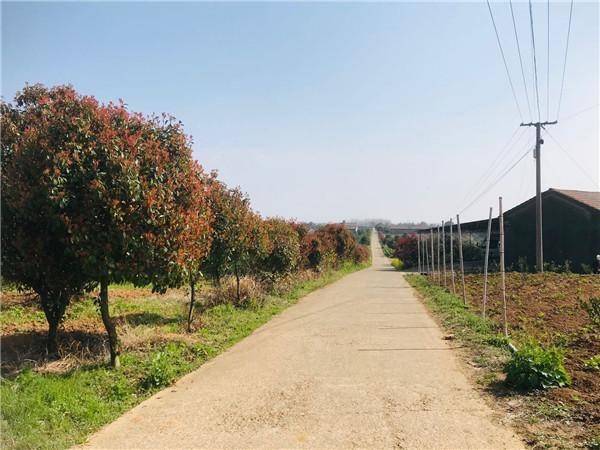 当阳市半月镇人居环境整治焕新颜留乡愁