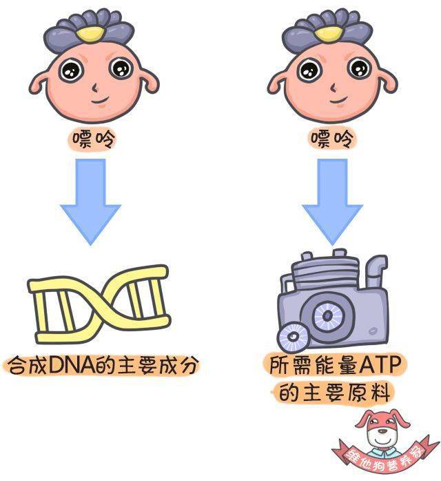 O丶成语什么_成语故事图片(3)