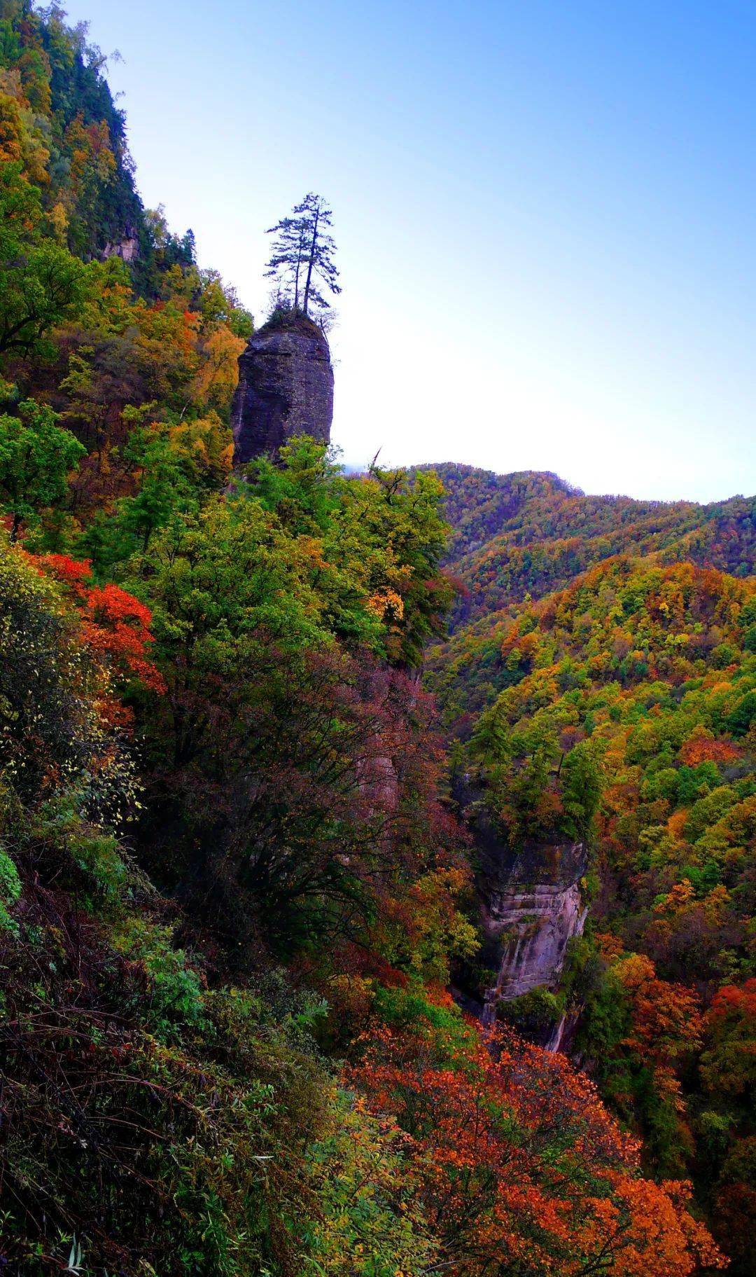 【平涼文旅·總工會踏春行】詩畫華亭:蓮花臺_旅遊