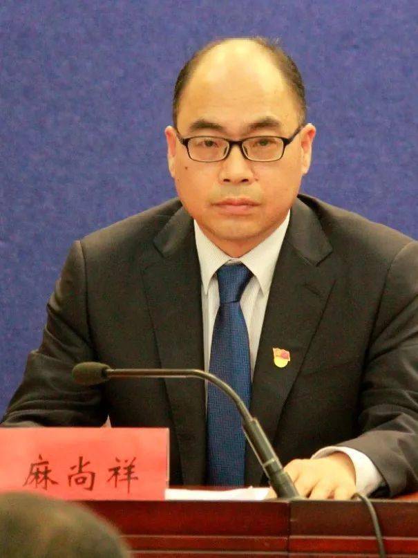 打造高效便捷政务环境推动营商环境优化提升