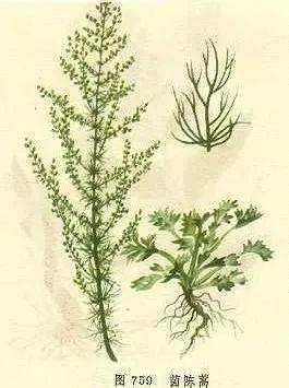 此方李时珍在《本草纲目》中有记载.