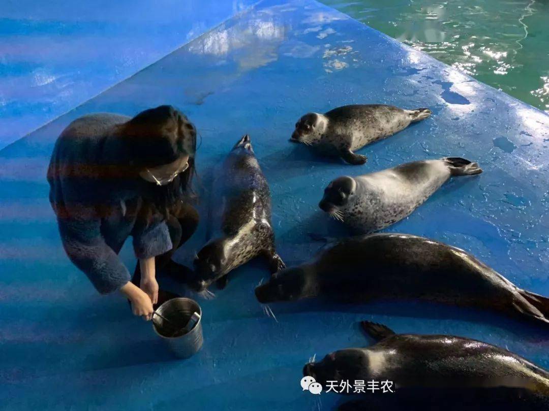 重磅呼市天外景丰海洋世界五一隆重开馆免费门票无限送送