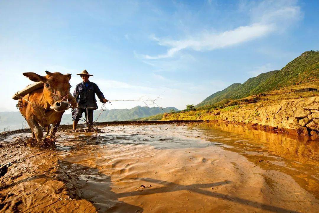 闽天福地春耕图