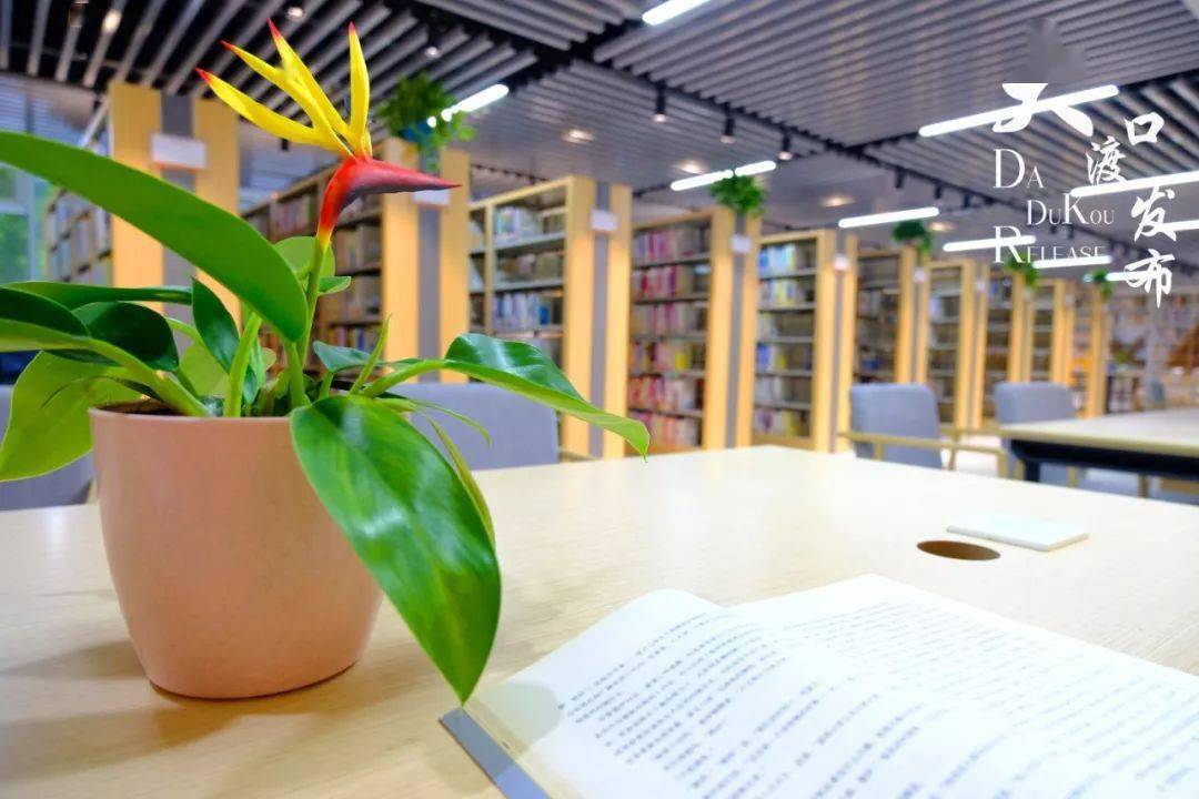 大渡口区图书馆阅读环境棒棒哒周六步行街还有赠书活动