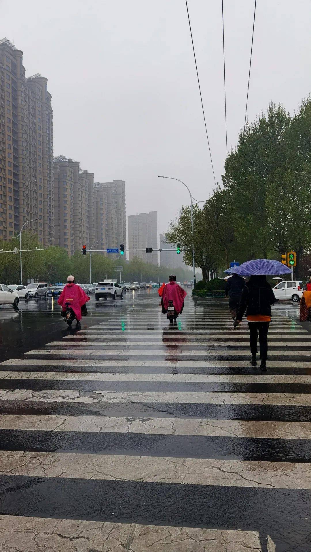 潍坊,一场春雨