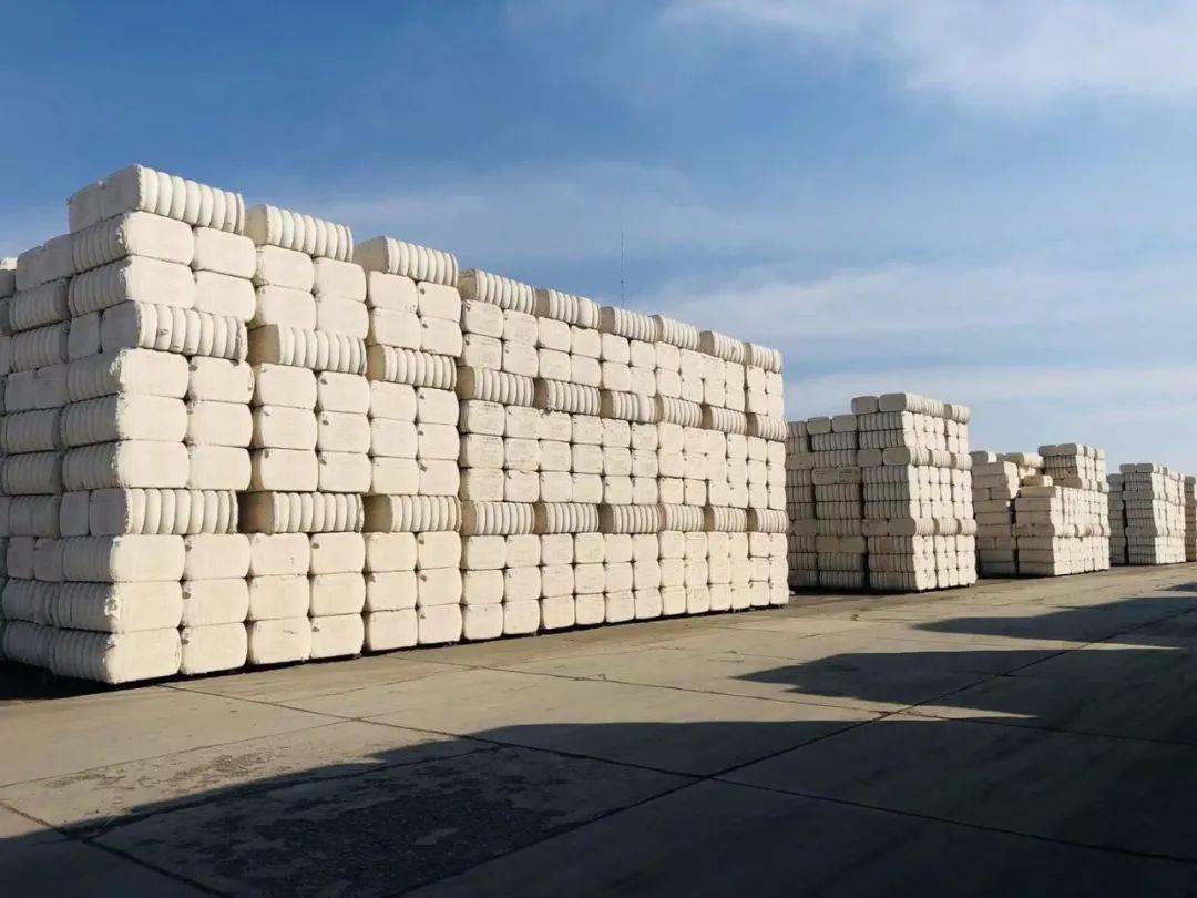 热点新疆棉事件引发更深层次思考我国能否拥有自己的棉花标准