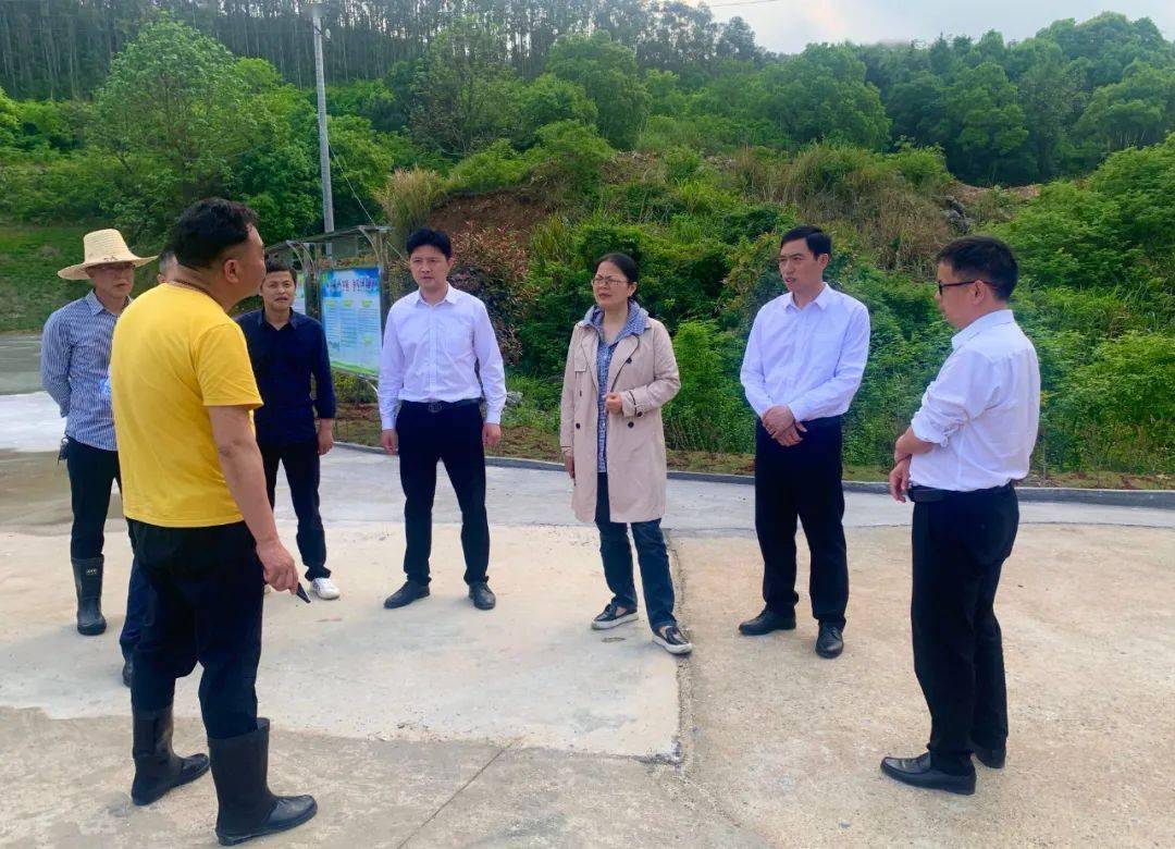 渝水区委书记李虹督导调研生态环境综合整治工作