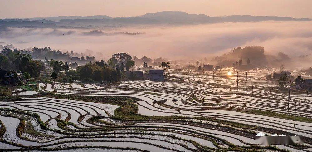 美图重庆盐井村梯田云蒸雾绕描绘最美田园画卷