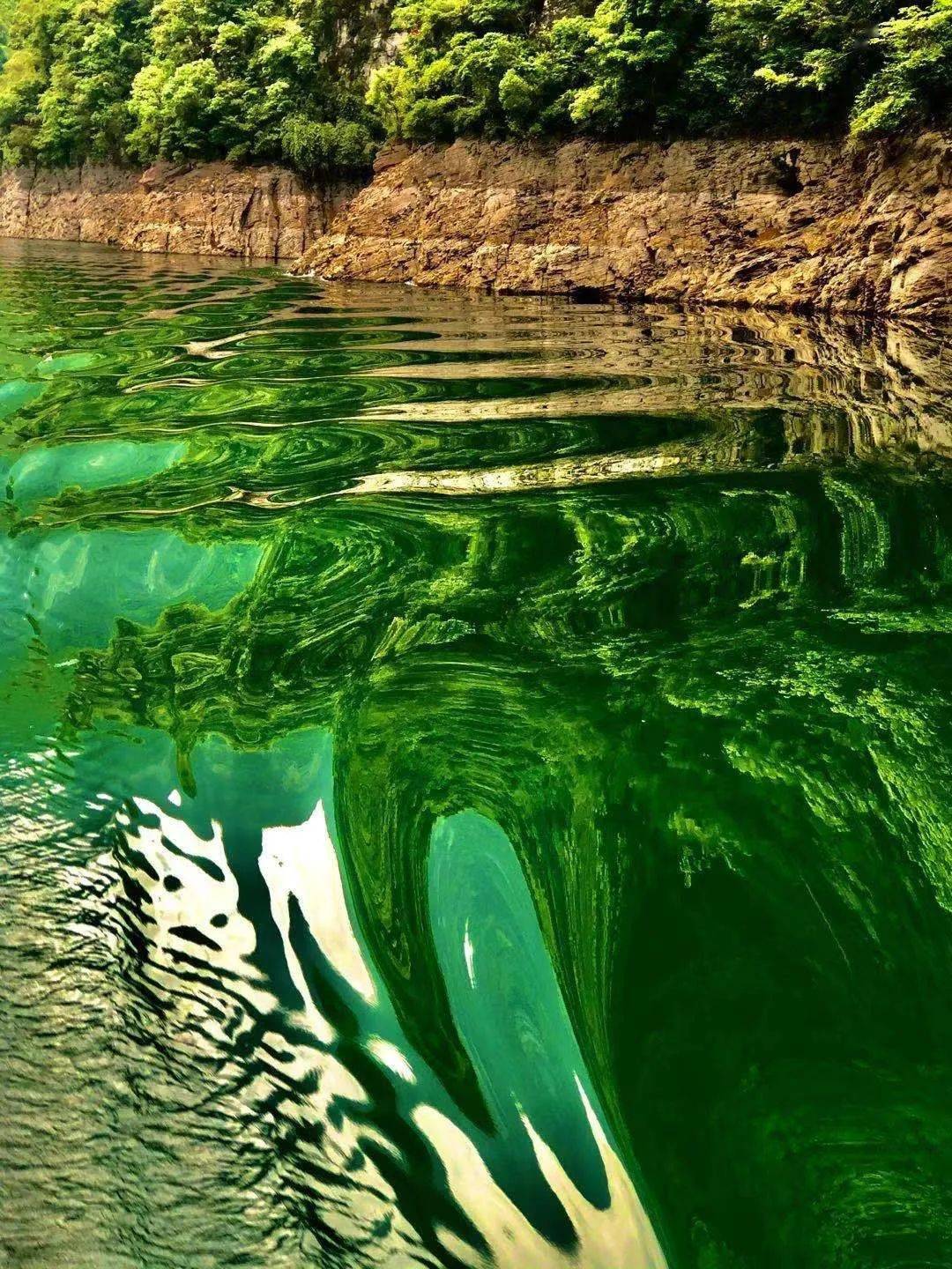 南飞时语江水绝美无限67