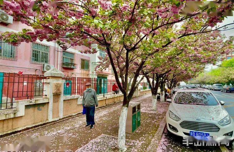 谷得雨而生清净明洁四月雨和别的时节的雨还不同雨生百谷生浮萍,牡丹