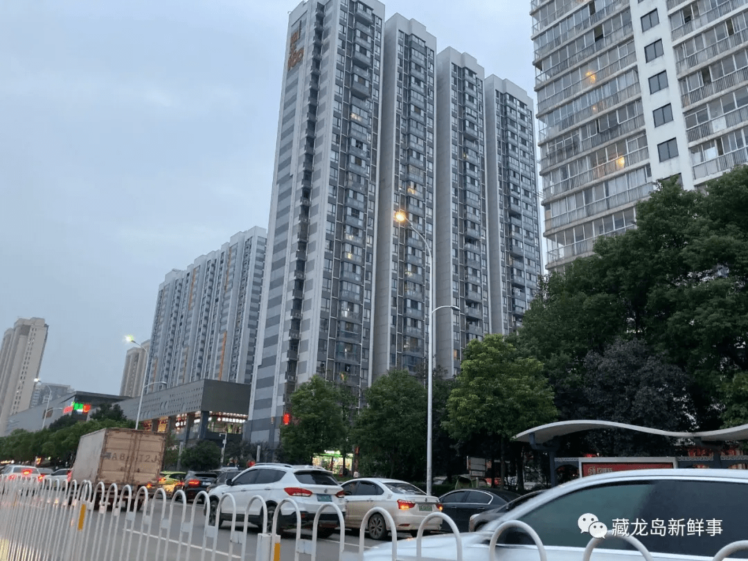 江夏藏龙岛栗庙片区公共基础设施建设规划公布含中小学幼儿园规划