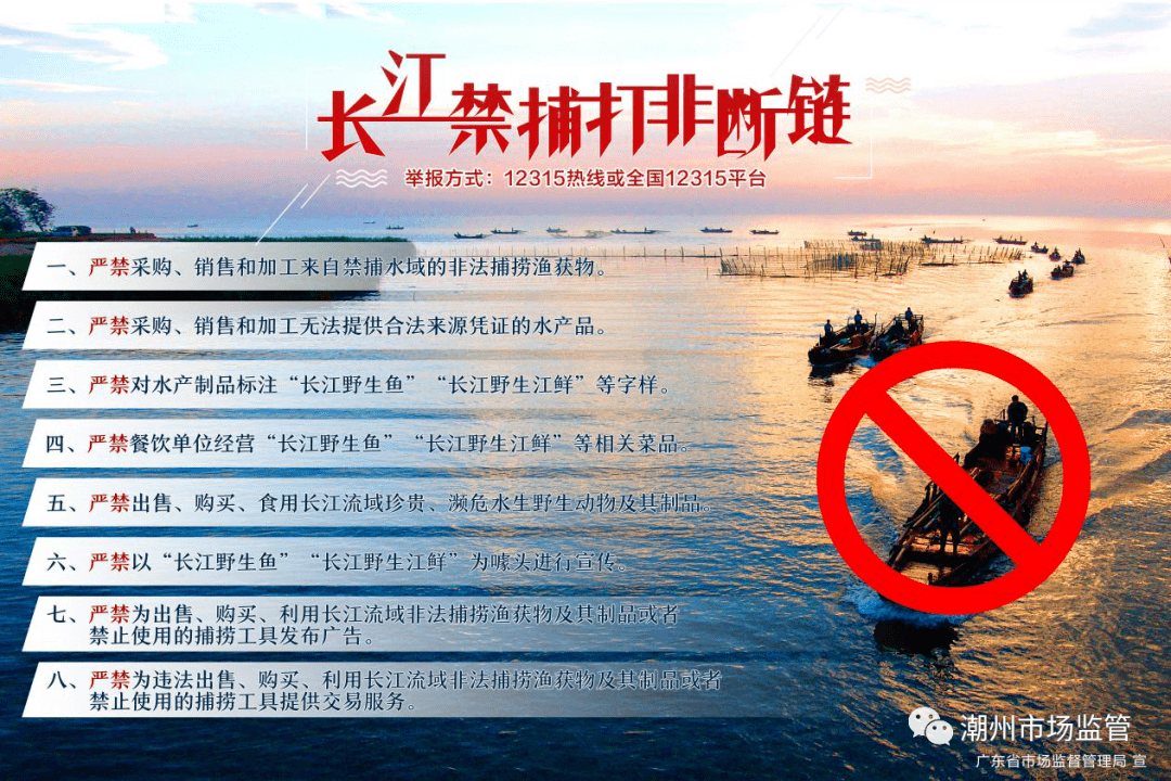 37d3407cac304c598f72ace9ab0650ca.png