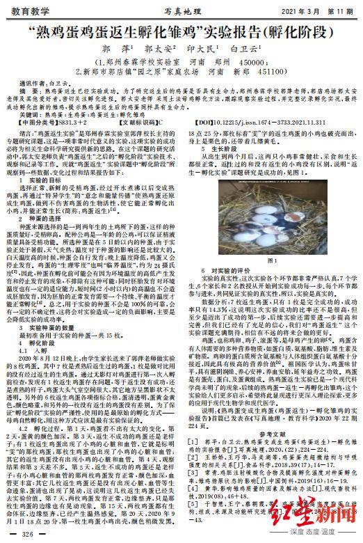 文章配图