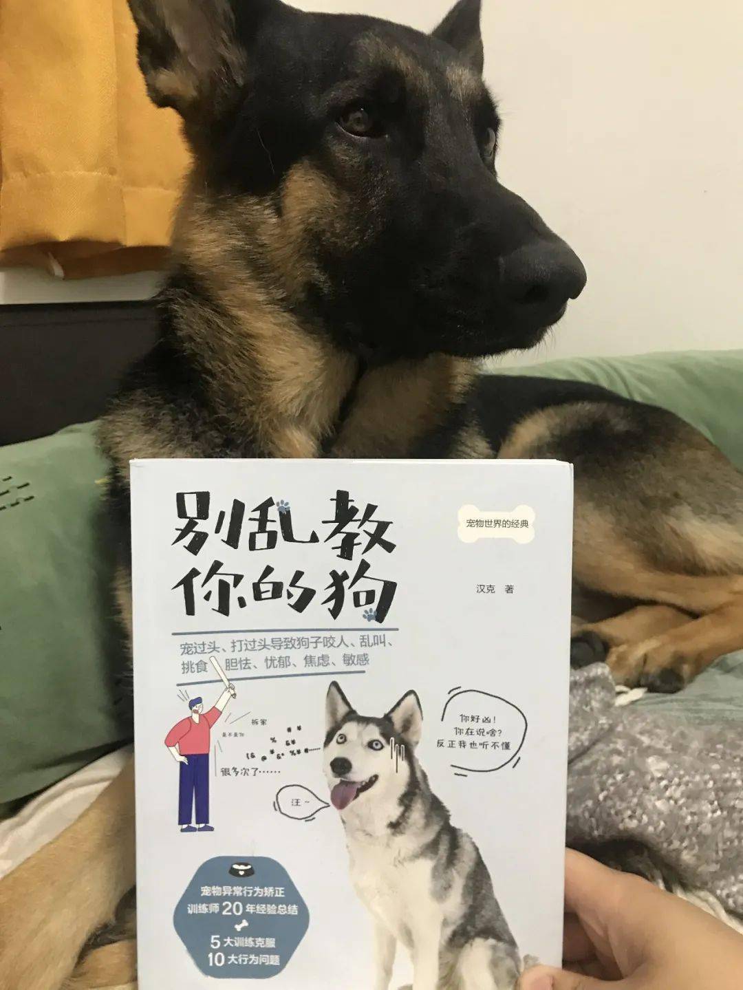 《别乱教你的狗》07当初吸引我的就是封面的一句话,"我们要的只是陪伴