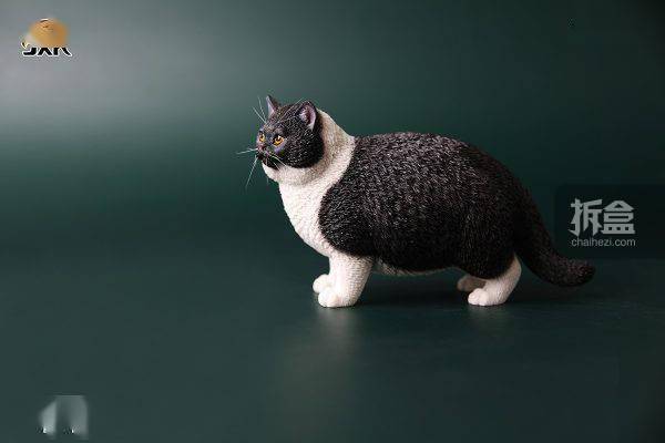 jxk.studio 1/6 肥猫系列 猫咪动物仿真模型 迷你gk摆件