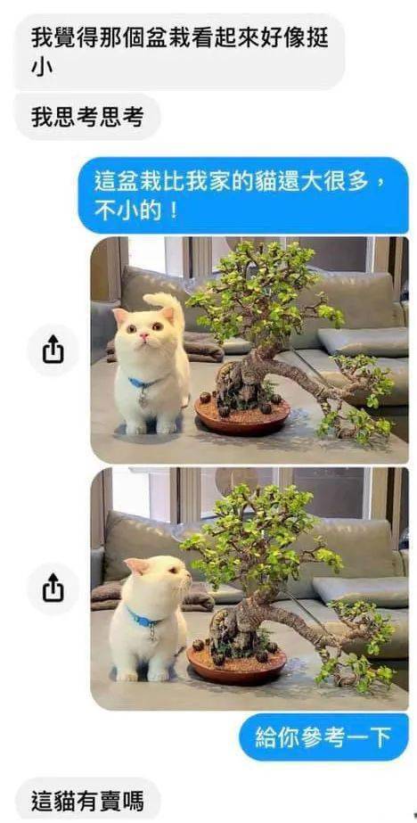 70f8707b4e064133ba99cd26ae8f98cb.jpeg