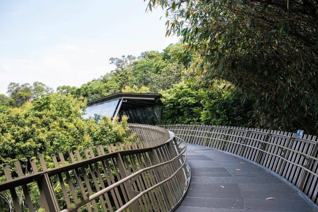 实地考察福州福山郊野公园福道再次强调了这些事刘任远带队赴福州考察