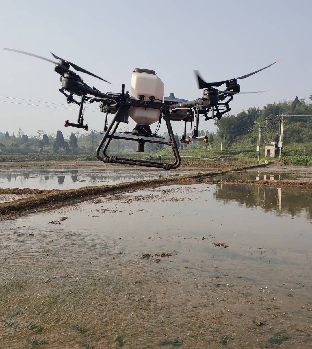 1小时可直播水稻20亩四川荣县首次运用无人机直播水稻新技术