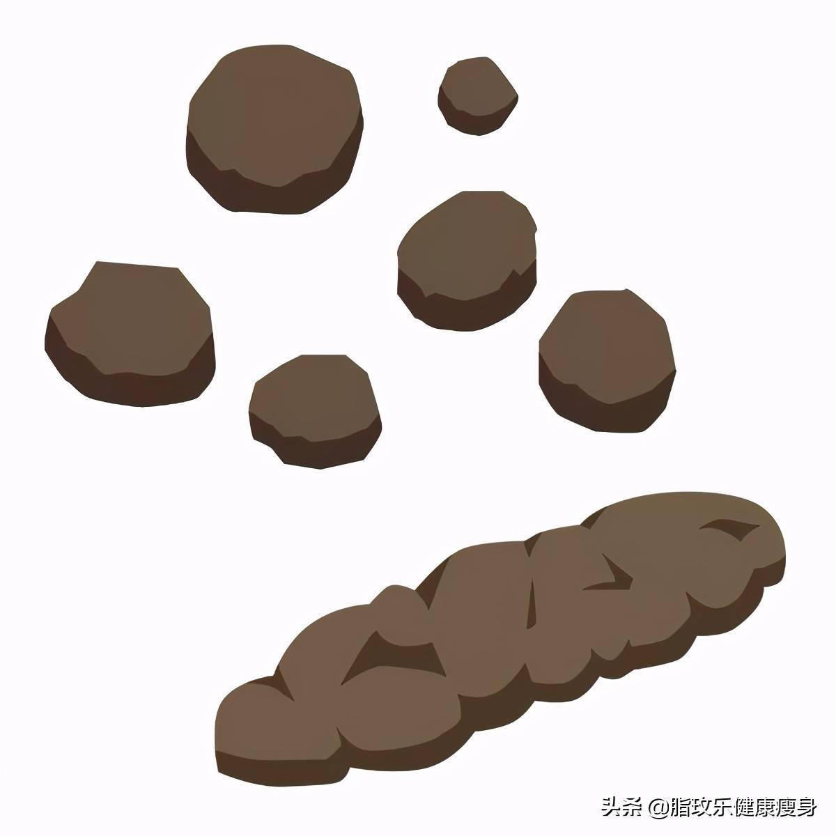 真相| 减肥的快乐来源之一是,拉屎_大便