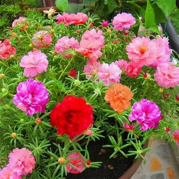38404382481c45d4bf7630038134940b.jpeg