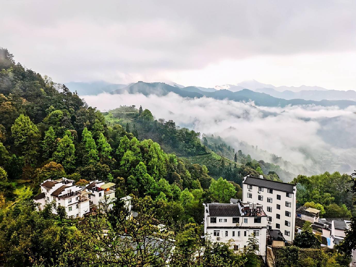 晨雾里的下汰村像在云端里,人在雾中行,雾在山间游,感觉很奇妙_云雾