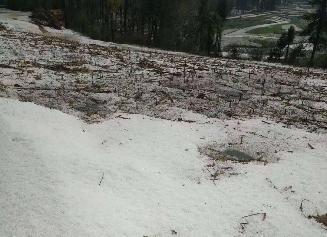 突发云南文山突降冰雹满地大小鸽子蛋外卖小哥冰河中前行令人动容