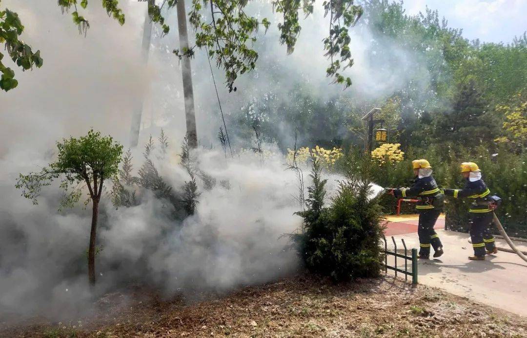长治有人点燃柳絮引发火灾.