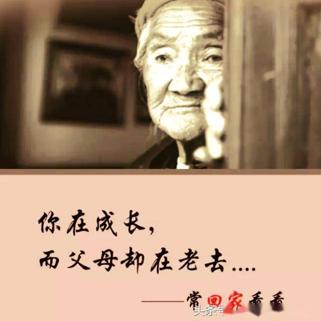 孩子当我老了请不要嫌弃我多一点耐心待我