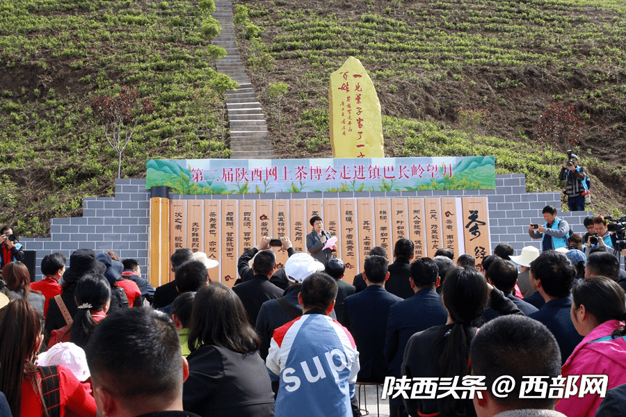 届陕西网上茶博会探访团走进镇巴县长岭镇花园社区"长岭望月"生态茶园