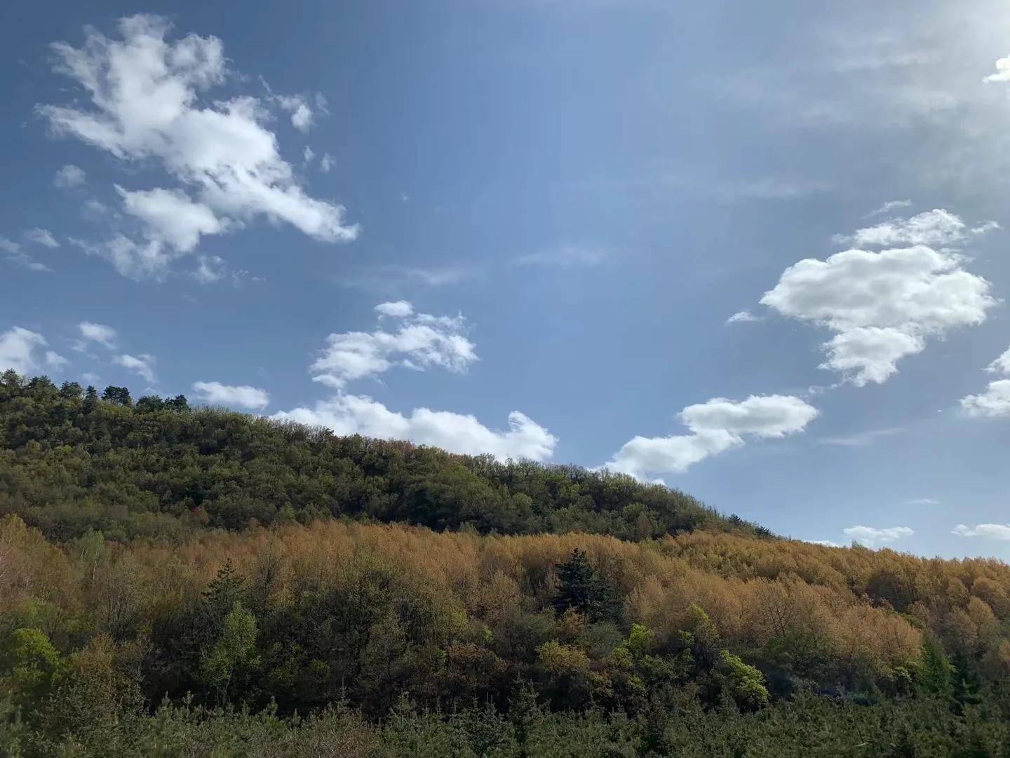 简谱山路十八弯