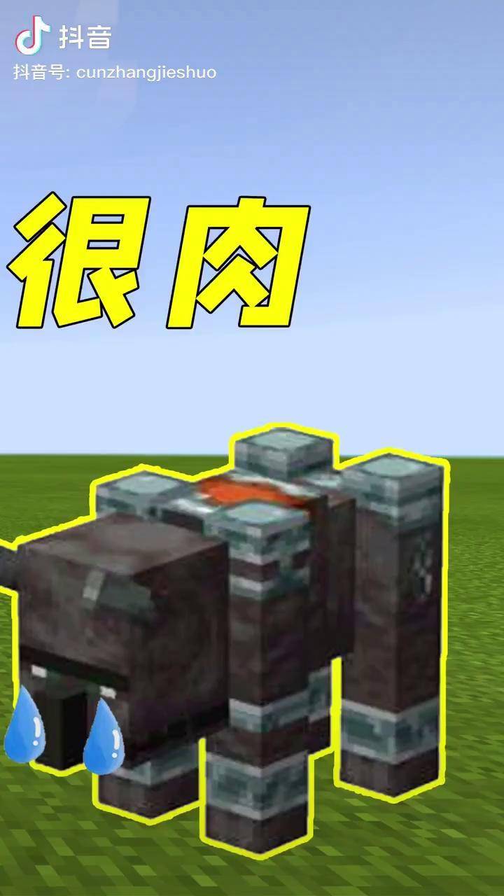 我的世界听说劫掠兽很肉在它面前不堪一击3