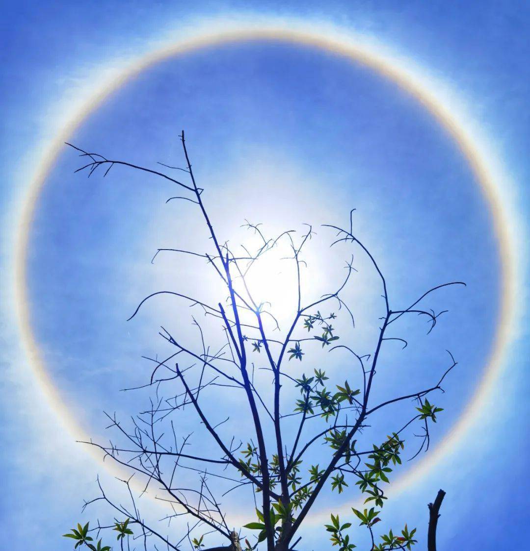 百姓发布台都匀今天的太阳你看到了没朋友圈刷屏了