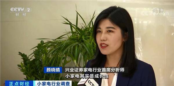 毛利率|这种小家电市场规模将翻100倍!这个行业有多赚钱?