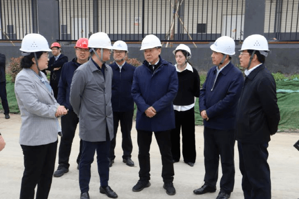 束志明副主任赴徐州高新区督查包挂重大产业项目建设情况