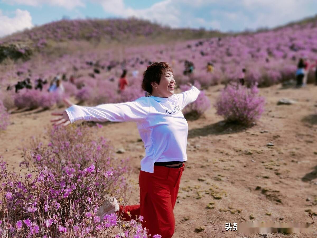 齐齐哈尔:五一"赏杜鹃"_杜花