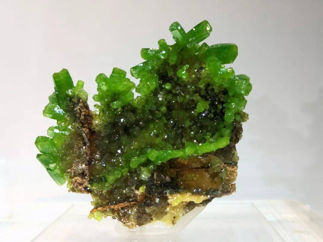 磷氯铅矿(胡维维摄)