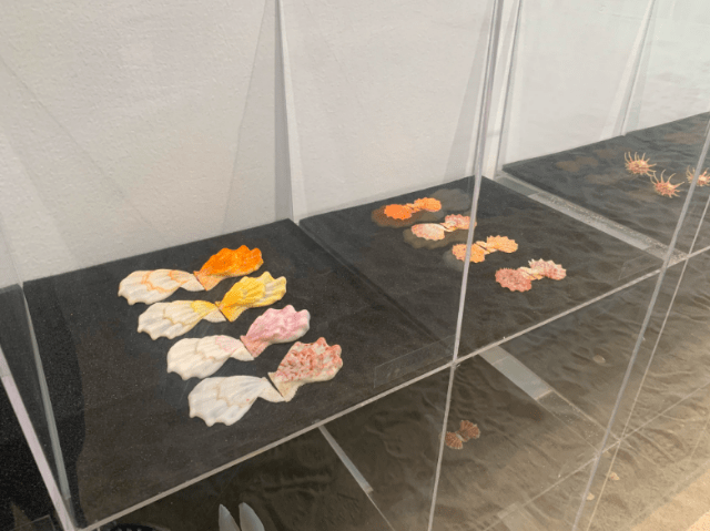 博物|8米长恐龙模型、远古琥珀、黑水摄影……假期来这里能大饱眼福